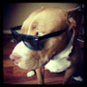 Meet your Posher, Jay